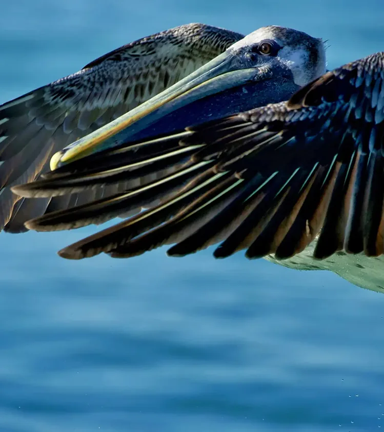 Landing in Paradise